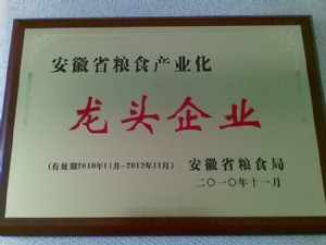 2010年安徽省糧食產業化龍頭企業
