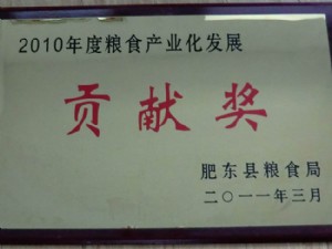 貢獻獎