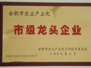 市級(jí)龍頭企業(yè)